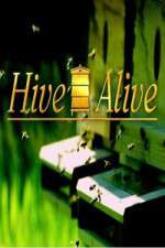 Watch Hive Alive Zoechip