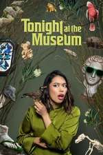 Watch Tonight At The Museum Zoechip