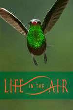 Watch Life in the Air Zoechip