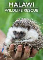 Watch Malawi Wildlife Rescue Zoechip