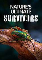 Watch Nature\'s Ultimate Survivors Zoechip