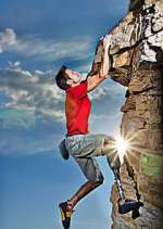 Watch Fight to Survive Zoechip