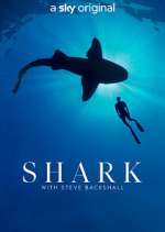 Watch Shark with Steve Backshall Zoechip