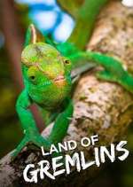 Watch Land of Gremlins Zoechip