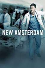 Watch New Amsterdam Zoechip
