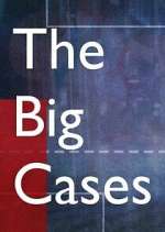 Watch The Big Cases Zoechip