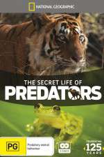 Watch Secret Life of Predators Zoechip
