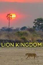 Watch Lion Kingdom Zoechip