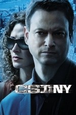 Watch CSI: NY / New York Zoechip