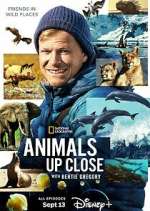 Watch Animals Up Close with Bertie Gregory Zoechip