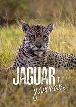 Watch Jaguar Journals Zoechip