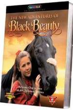 Watch The New Adventures of Black Beauty Zoechip