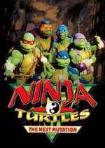 Watch Ninja Turtles: The Next Mutation Zoechip