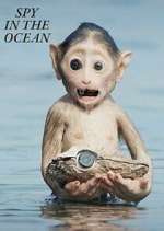 Watch Spy in the Ocean Zoechip
