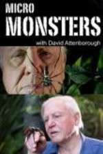 Watch Micro Monsters 3D with David Attenborough Zoechip