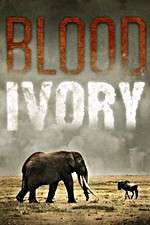 Watch Blood Ivory Zoechip