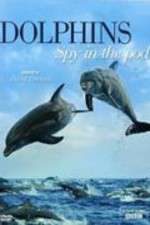Watch Dolphins: Spy in the Pod Zoechip
