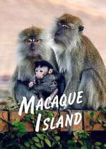 Watch Macaque Island Zoechip