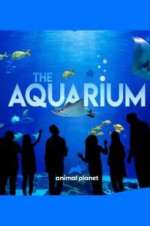 Watch The Aquarium Zoechip