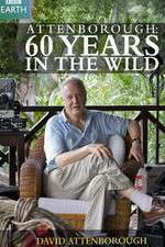 Watch Attenborough 60 Years in the Wild Zoechip