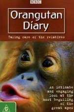 Watch Orangutan Diary Zoechip