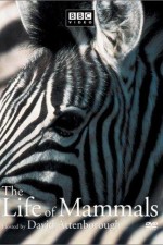 Watch The Life of Mammals Zoechip