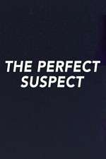 Watch The Perfect Suspect Zoechip