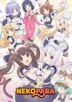 Watch Nekopara Zoechip