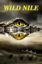Watch Wild Nile Zoechip