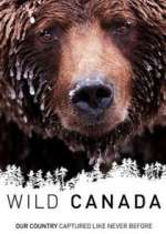 Watch Wild Canada Zoechip