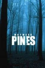 Watch Wayward Pines Zoechip