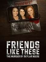 Watch Friends Like These: The Murder of Skylar Neese Zoechip