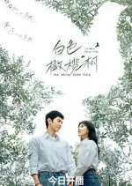 Watch The White Olive Tree Zoechip