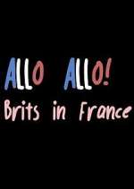 Watch Allo Allo! Brits in France Zoechip