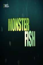 Watch National Geographic Monster Fish Zoechip