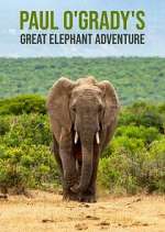 Watch Paul O'Grady's Great Elephant Adventure Zoechip