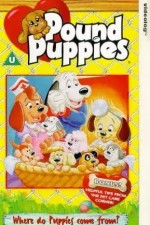 Watch Pound Puppies Zoechip