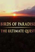 Watch Birds of Paradise: The Ultimate Quest Zoechip