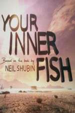 Watch Your Inner Fish Zoechip