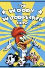 Watch The Woody Woodpecker Show Zoechip