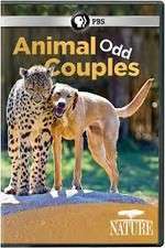 Watch Animal Odd Couples Zoechip