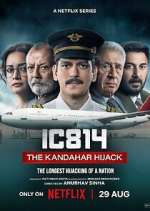 Watch IC 814: The Kandahar Hijack Zoechip