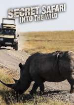 Watch Secret Safari: Into the Wild Zoechip