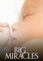Watch Big Miracles Zoechip