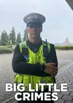 Watch Big Little Crimes Zoechip