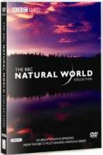 Watch The Natural World Zoechip