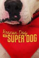 Watch Rescue Dog to Super Dog (US) Zoechip