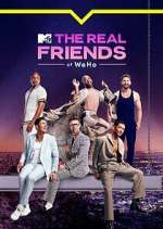 Watch The Real Friends of WeHo Zoechip