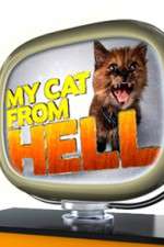 Watch My Cat from Hell Zoechip