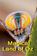 Watch Magical Land of Oz Zoechip